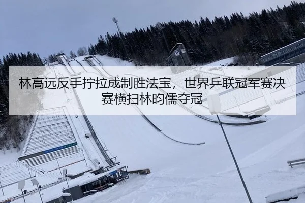 林高远反手拧拉成制胜法宝，世界乒联冠军赛决赛横扫林昀儒夺冠