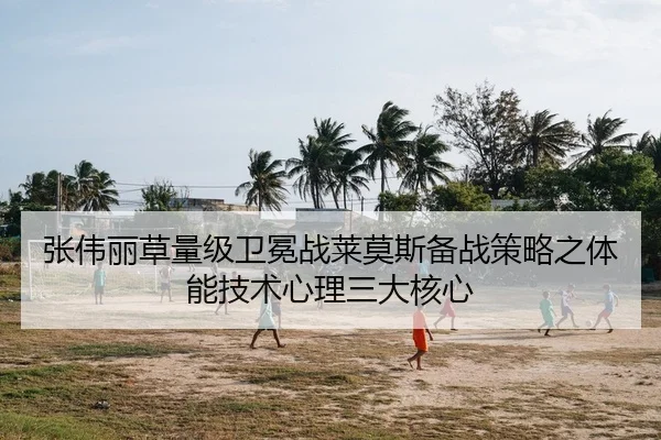 张伟丽草量级卫冕战莱莫斯备战策略之体能技术心理三大核心