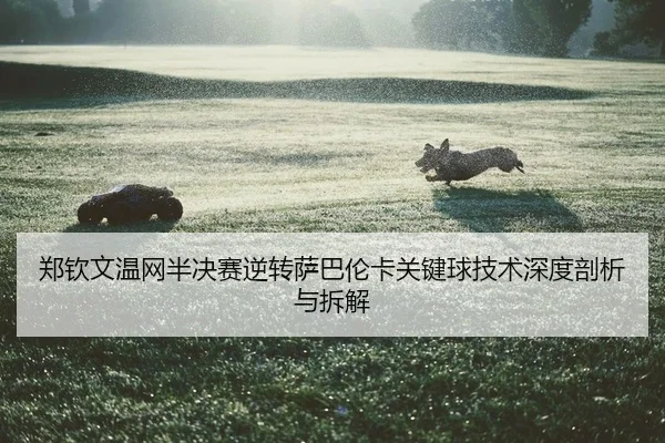 zheng-qin-wen-wen-wang-ban-jue-sai-ni-zhuan-sa-ba-lun-ka-guan-jian-qiu-ji-shu-shen-du-pou-xi-yu-chai-jie-2-678.jpg
